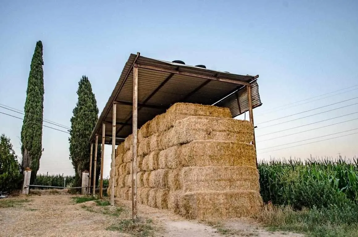 Masia Can Rique En Vilobi Donyar Villa Girona